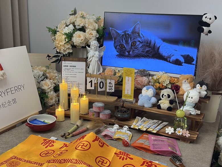 宠物爪印留念与纪念品定制
